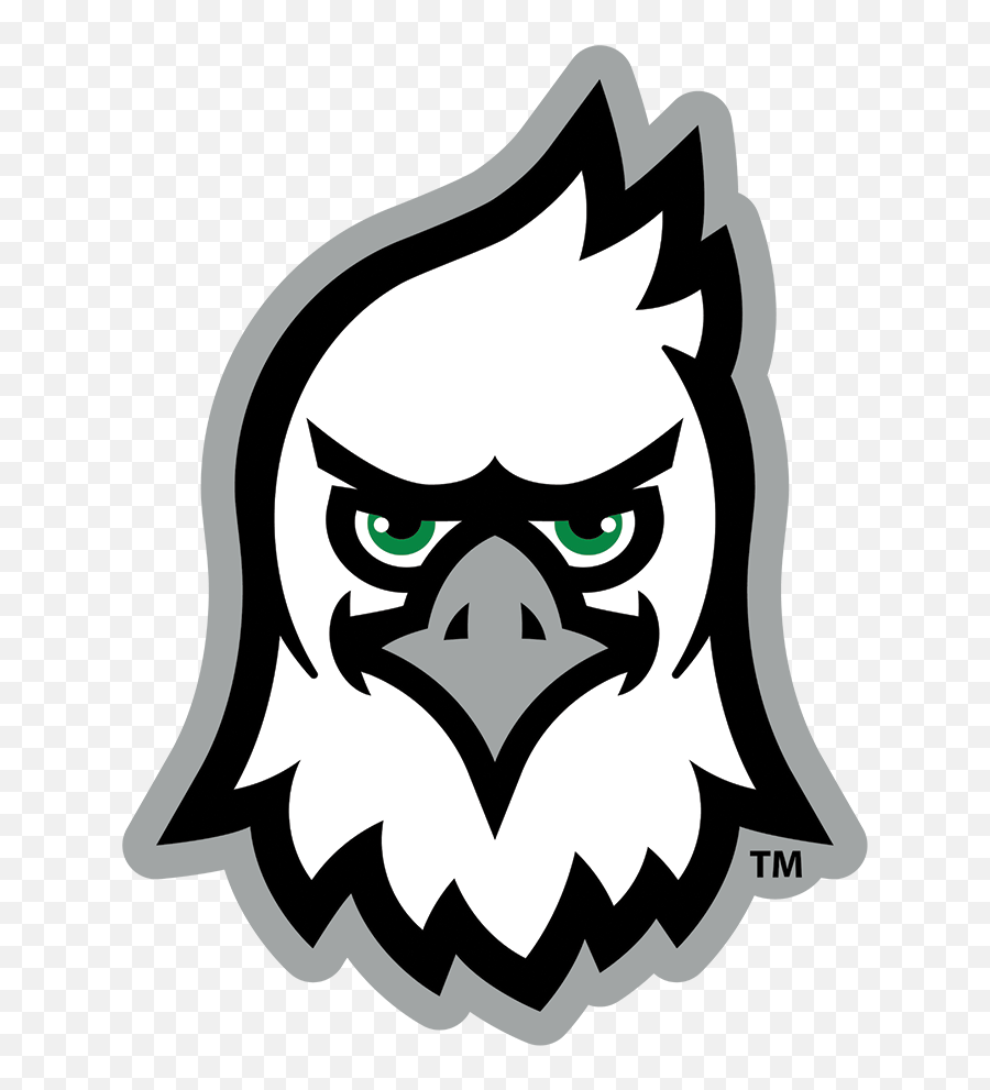 North Dakota Fighting Hawks - North Dakota Mascot Head Single Layer Dimensional Png,Eagle Head Icon