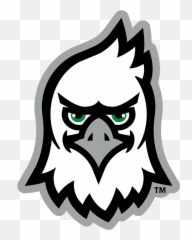North Dakota Fighting Hawks - Mascot Head Single Layer Dimensional png