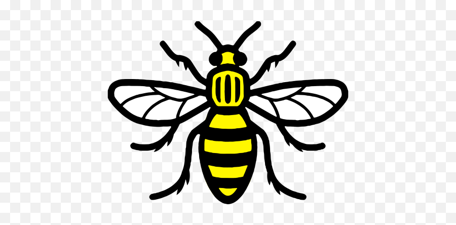 Bee Png Vector 1 Image - Manchester Bee,Bee Transparent Background