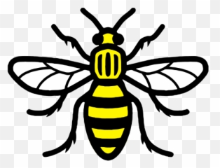 Bee Png Vector 1 Image - Manchester