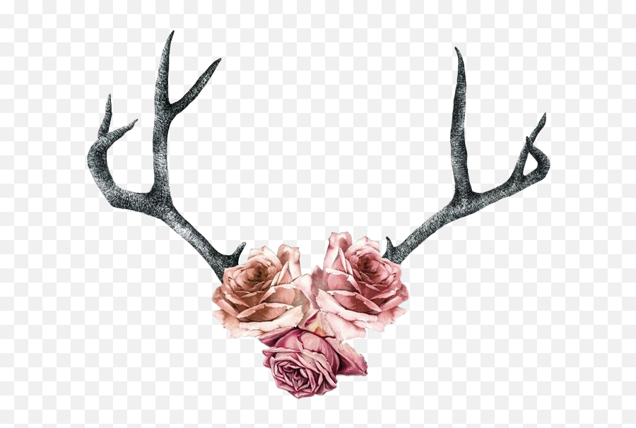 Deer Antlers Silhouette Png - Rose Roses Antlers Pink Deer Antler With Flowers Tattoo,Antlers Png
