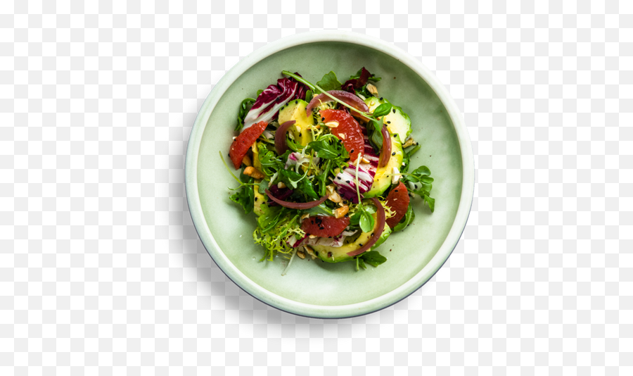 Diwan - Citrus Arugula U0026 Avocado Salad Transparent Kitchen Greek Salad Png,Avocado Transparent