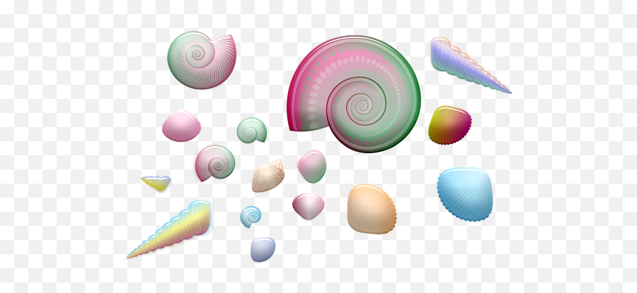 100 Free Seashell U0026 Shell Illustrations - Pixabay Clip Art Png,Seashell Transparent