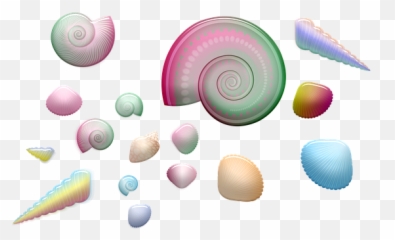 100 Free Seashell U0026 Shell Illustrations - Pixabay Clip Art Png,Seashell Transparent