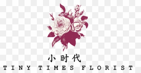 Download Tiny Times Florist Provide - Garden Roses Png,Tiny Png