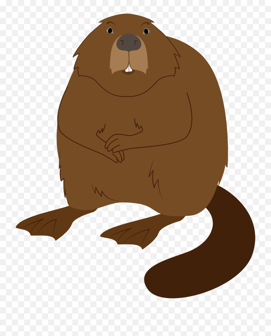 Beaver Clipart Free Download Transparent Png Creazilla - Punxsutawney Phil,Beaver Png