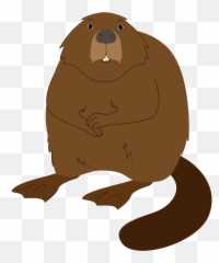Beaver Clipart Free Download Transparent Png Creazilla - Punxsutawney Phil,Beaver Png