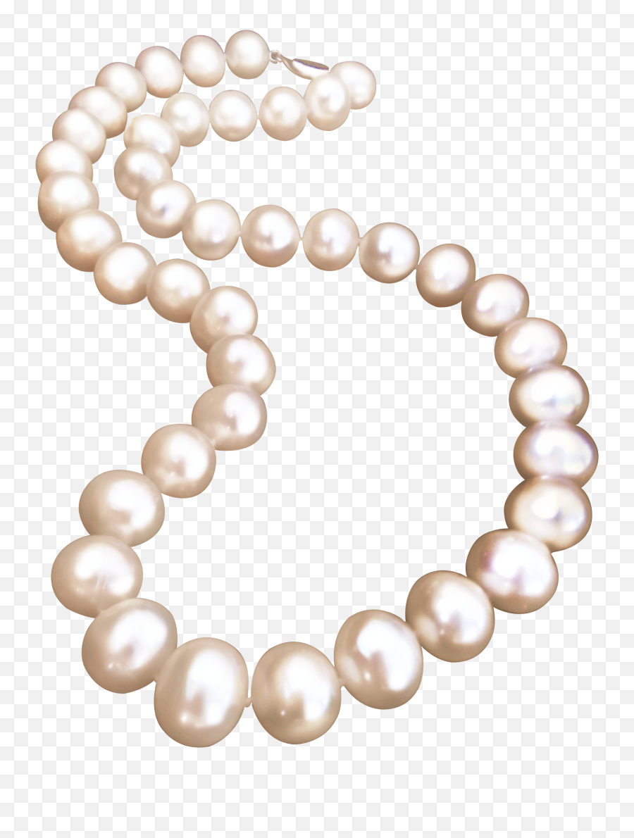 Pearl Necklace Jewellery - Pearl Png Download Pearl Necklace Pearl Png,Pearl Transparent