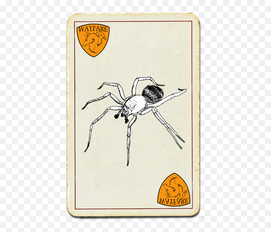 Wolf Spider - Wayfare Pest Solutions Wayfare Pest Solutions Png,Cartoon Spider Png