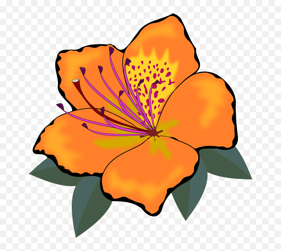 Orange Hawaiian Hibiscus Clipart - Orange Flower Clipart Png,Hawaiian Png