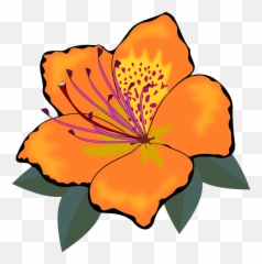 Orange Hawaiian Hibiscus Clipart - Orange Flower Clipart Png,Hawaiian Png