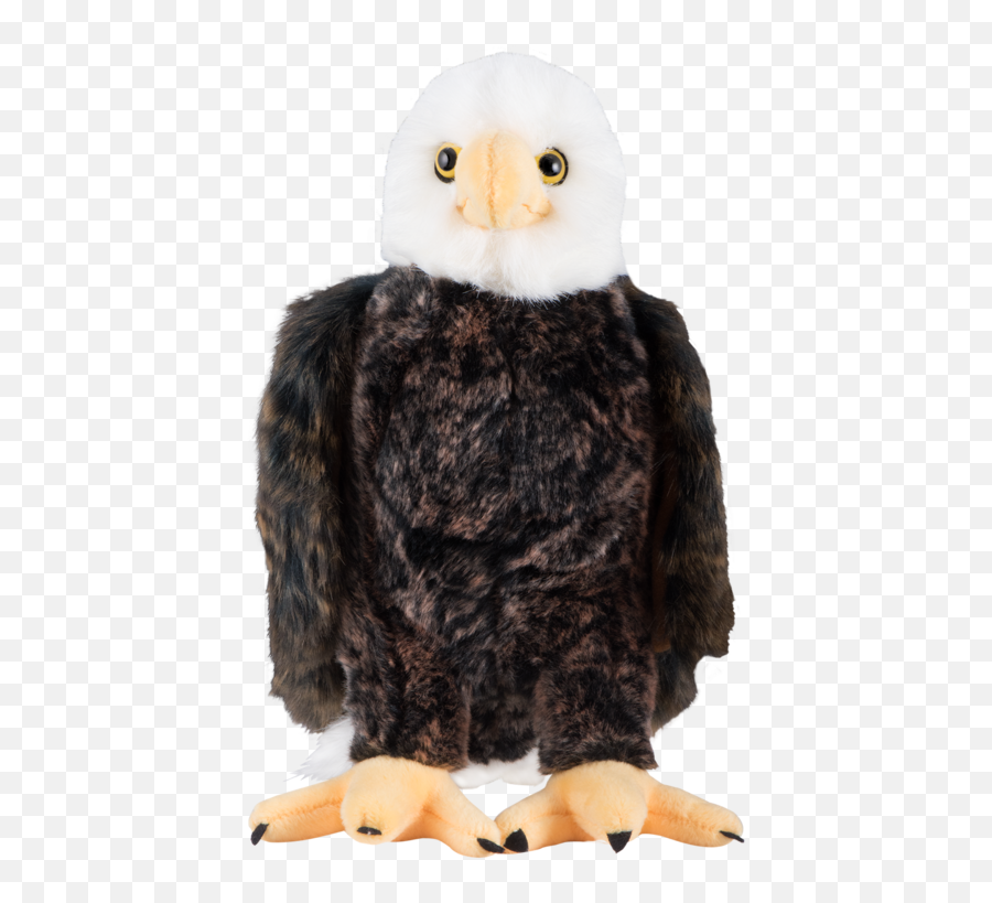 Bald Eagle Plush - Eagle Stuffed Animal Transparent Background Png,Eagle Transparent