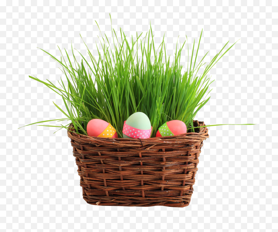 Best Basket Transparent Background - Easter Eggs Basket Png,Easter Eggs Transparent Background