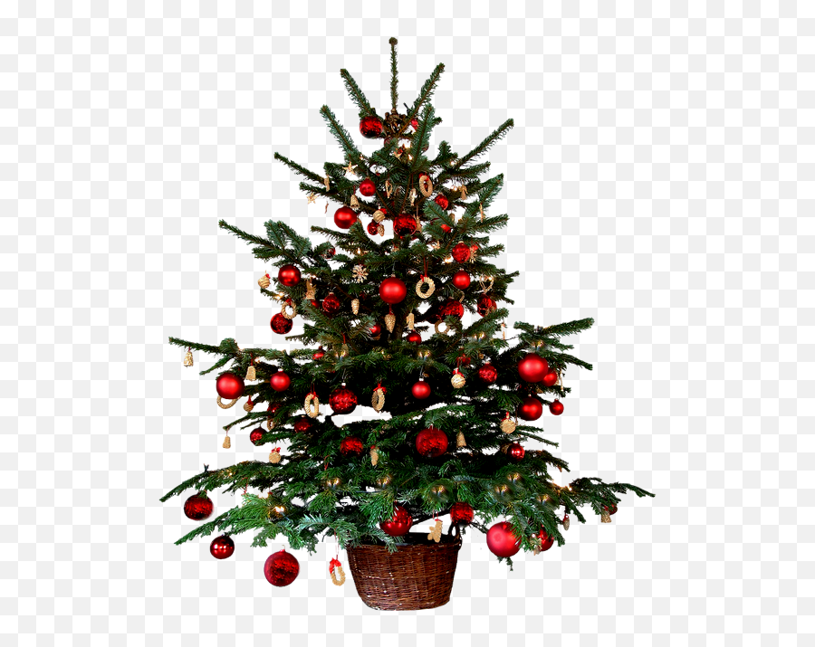 Download Arvore De Natal - Small Christmas Tree Png Png Merry Christmas Thank You For Being Part,Small Tree Png