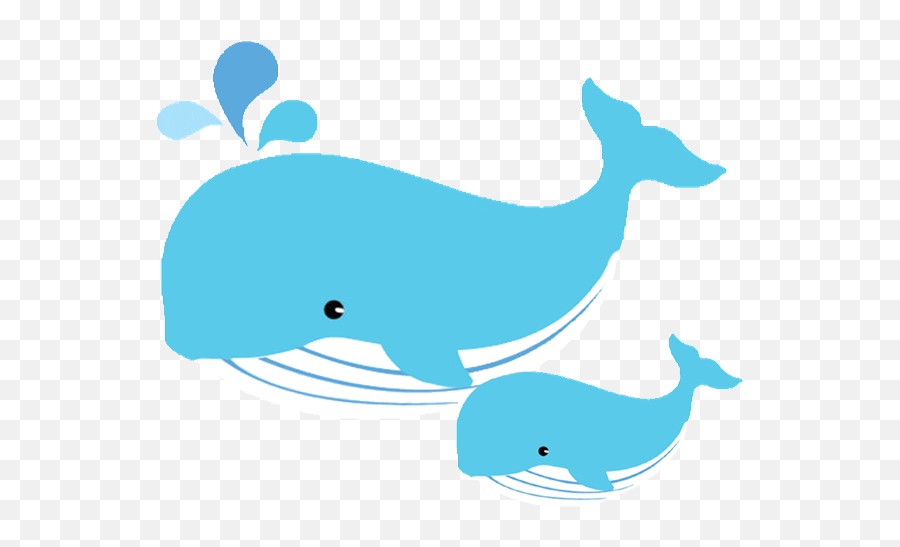 Transparent Background - Mom And Baby Whale Clipart Png,Dolphin Transparent Background