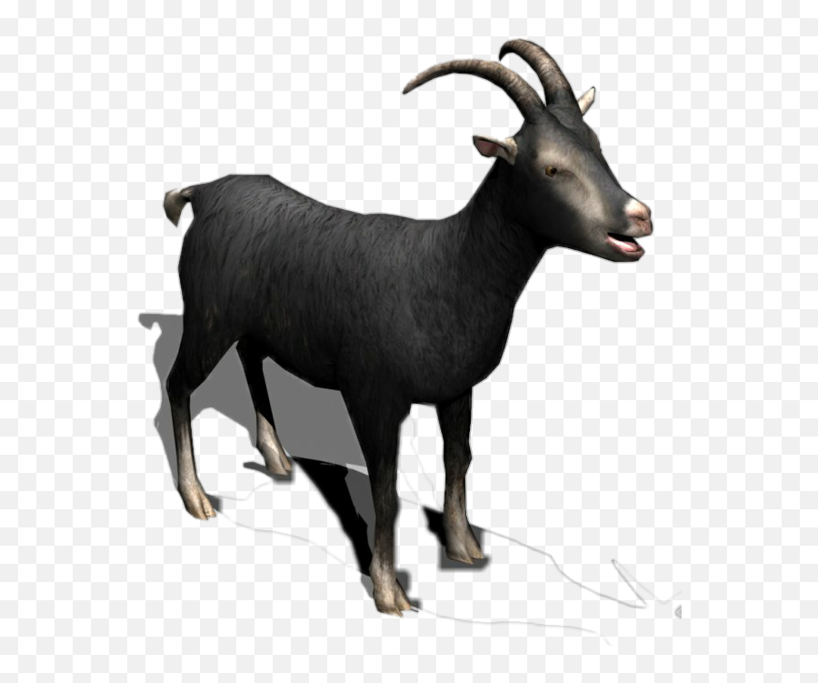 Download Black Goat Horns Milk Meat - Goat Png,Goat Horns Png