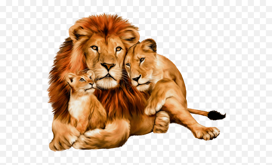 Download Free Png Animals Clipart Pngcartoon - Lion Lioness And Cub,Transparent Animals
