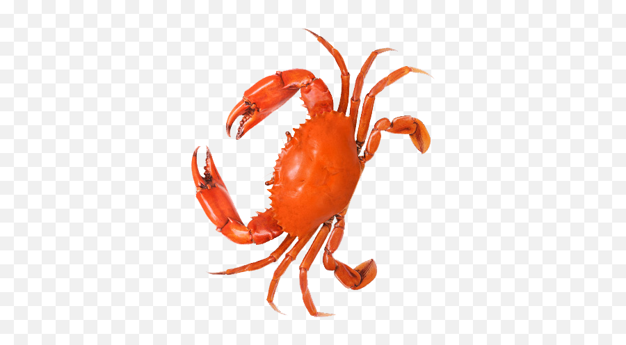 Menu - Mr U0026 Mrs Crab Cancer Png,Crab Legs Png