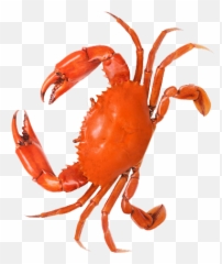 Menu - Mr U0026 Mrs Crab Cancer Png,Crab Legs Png