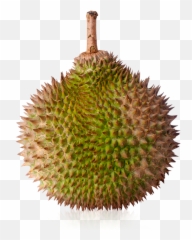 Download Hd Durian Png - Durio Zibethinus,Durian Png