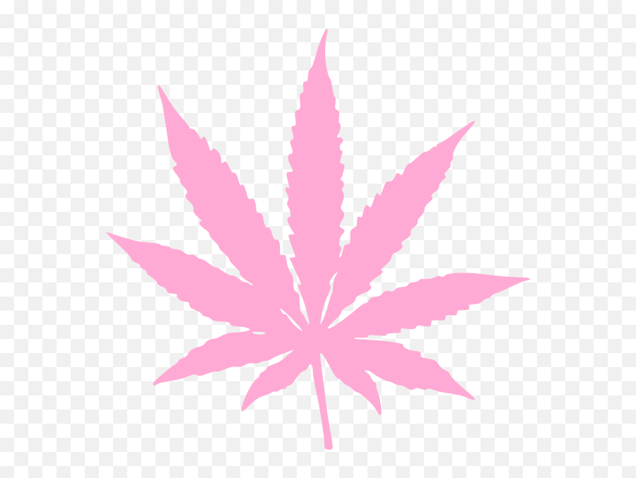 Weed Plant Vector - Pot Leaf Png,Weed Png