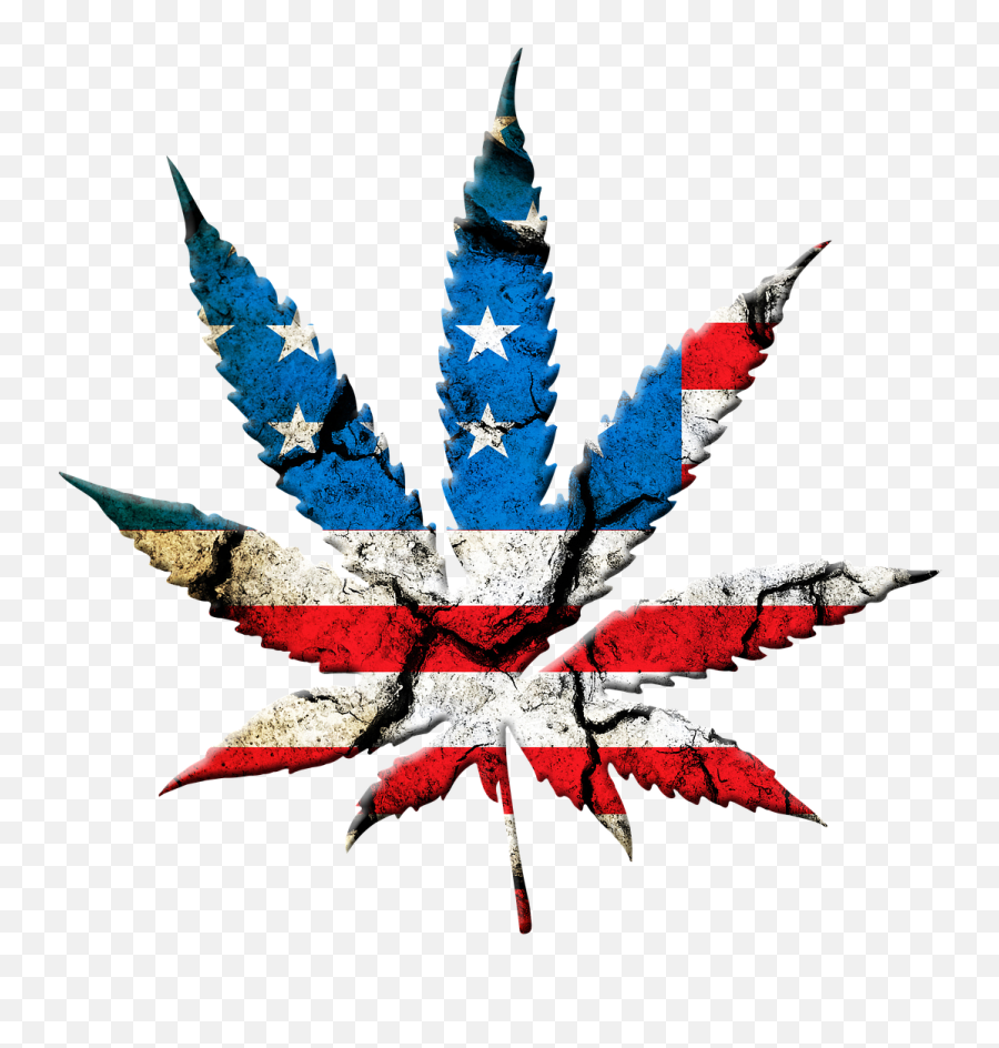 Download Free Photo Of Marijuana Leafthe Flaggraphicfree - Hình Lá Cn Sa P Png,Pot Leaf Transparent Background