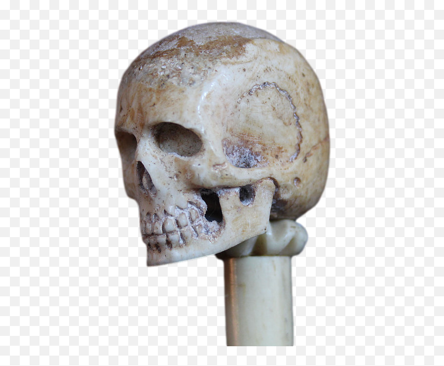 Skull Vanitas Memento Mori In Bone - Scary Png,Vanitas Icon