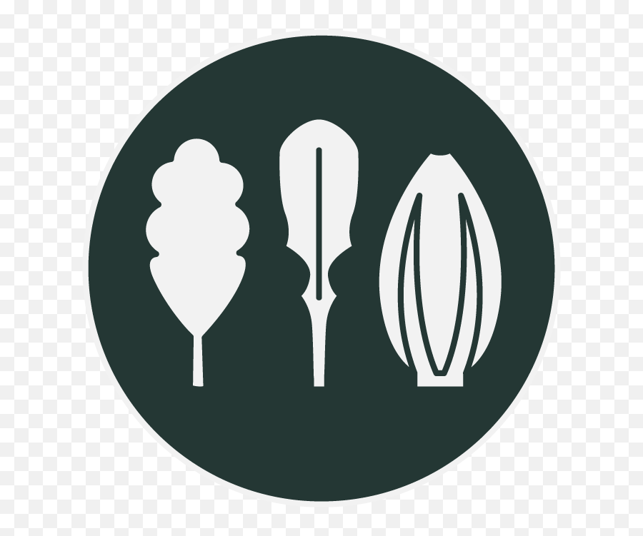 Memore Real Food For Thought - Language Png,Ubereats Icon