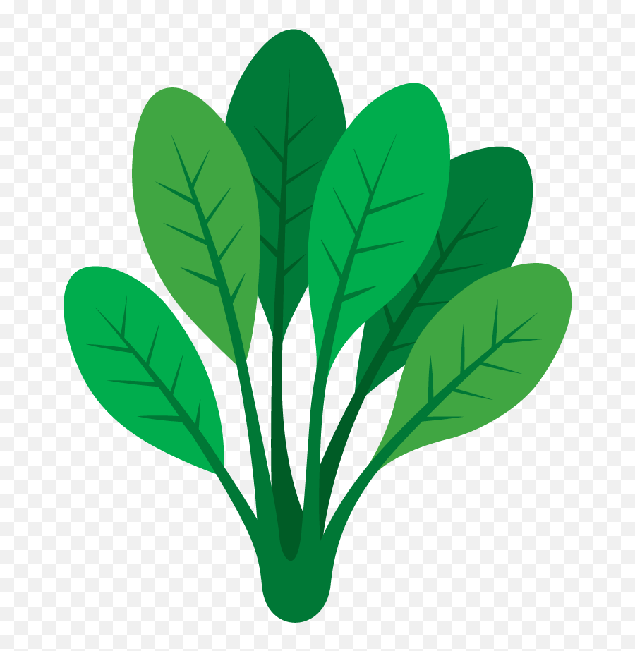Forrest Hill Community Garden - Spinach Icon Png,Vegetable Garden Icon