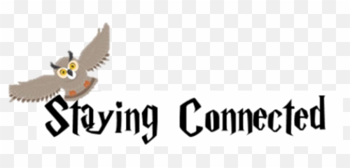 Harry Potter And Quidditch Society - Language png