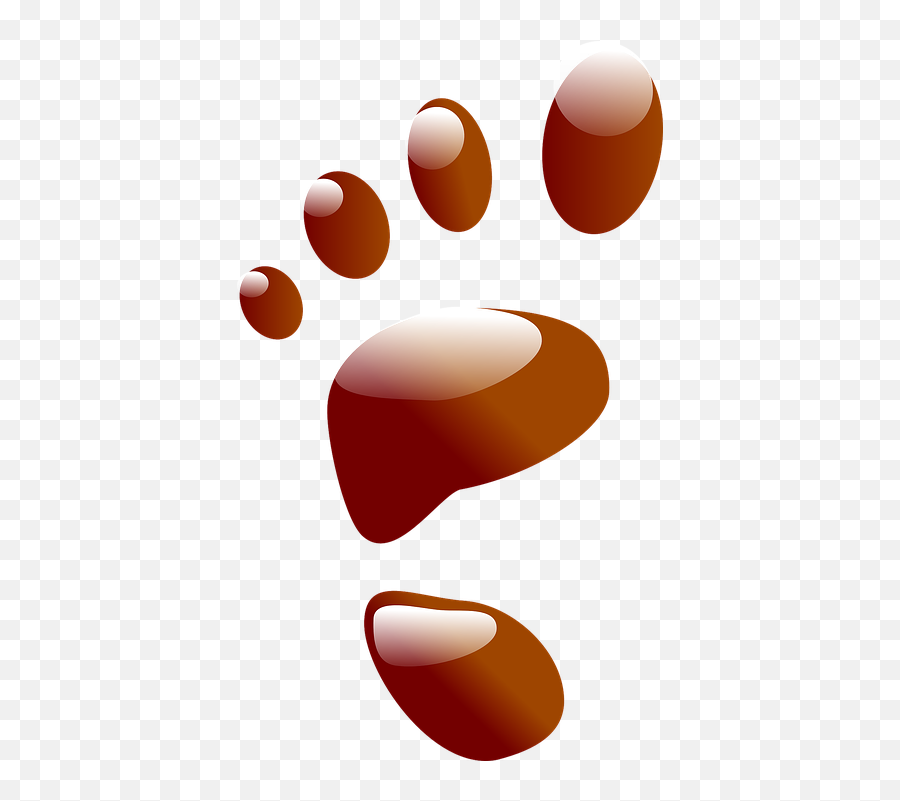 100 Free Footsteps U0026 Footprint Images - Pixabay Clip Art Png,Footsteps Transparent Background