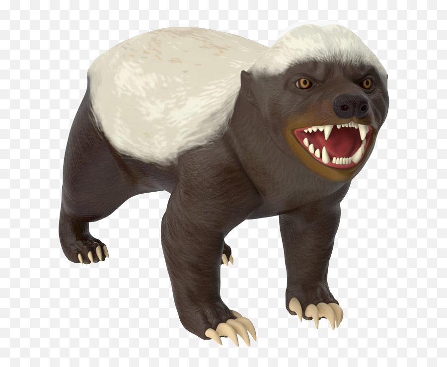 Honey Badger Png Images Transparent Background