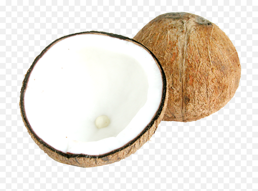 Two Half Coconuts Png Image - Half Coconut Coconuts Top View,Coconut Png