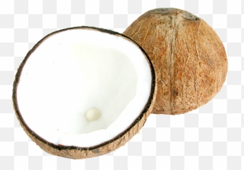 Two Half Coconuts Png Image - Half Coconut Coconuts Top View,Coconut Png