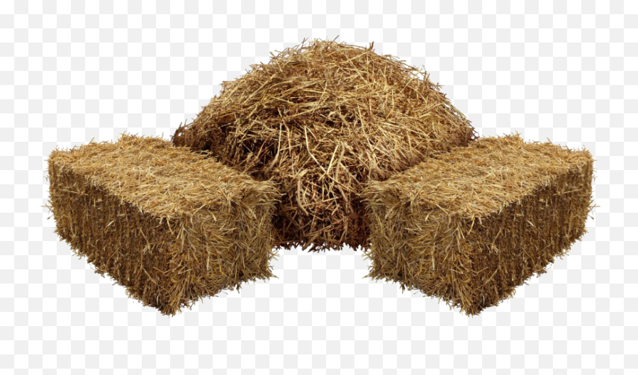 Square Hay Png Picture - Hay Png Transparent,Hay Png