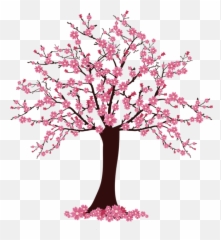 Cherry Blossom Trees Are - Clipart png