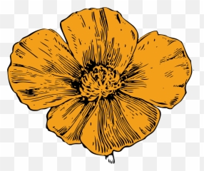 Library Of Poppy Flower Graphic Free - California Poppy Clipart Png,Poppy Png