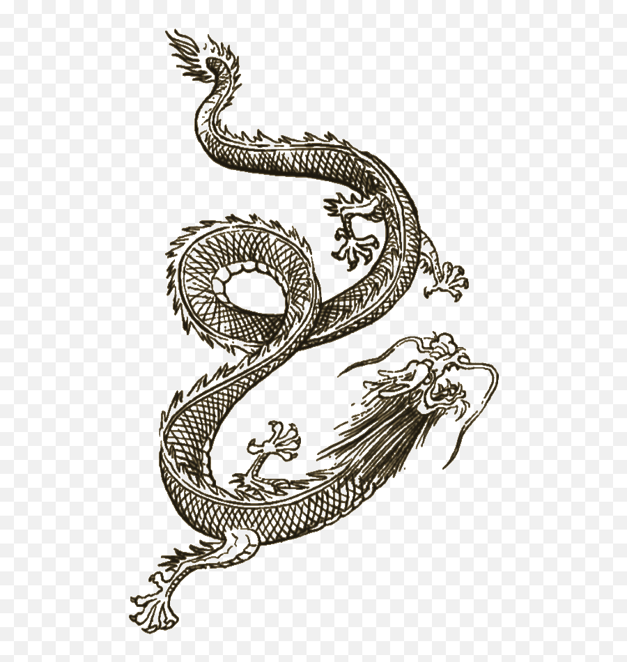 Wei Shen Tatt Tattoos Dragon Tattoo Small - Chinese Dragon Tattoo Png,Asian Dragon Png