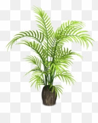 Indoor Potted - Potted Plant Transparent Background Png,Jungle Plants Png