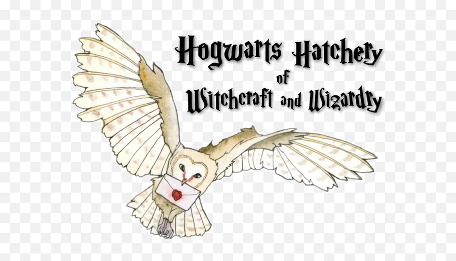 Hogwarts Hatchery - Pigeons And Doves Png,Hogwarts Png