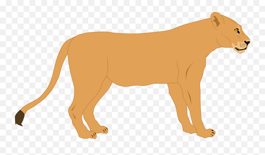 Lioness Lion Predator - Free Vector Graphic On Pixabay Leoa Png,Predator Png