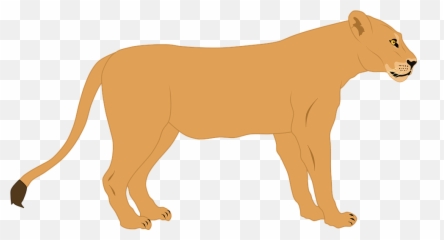 Lioness Lion Predator - Free Vector Graphic On Pixabay Leoa Png,Predator Png