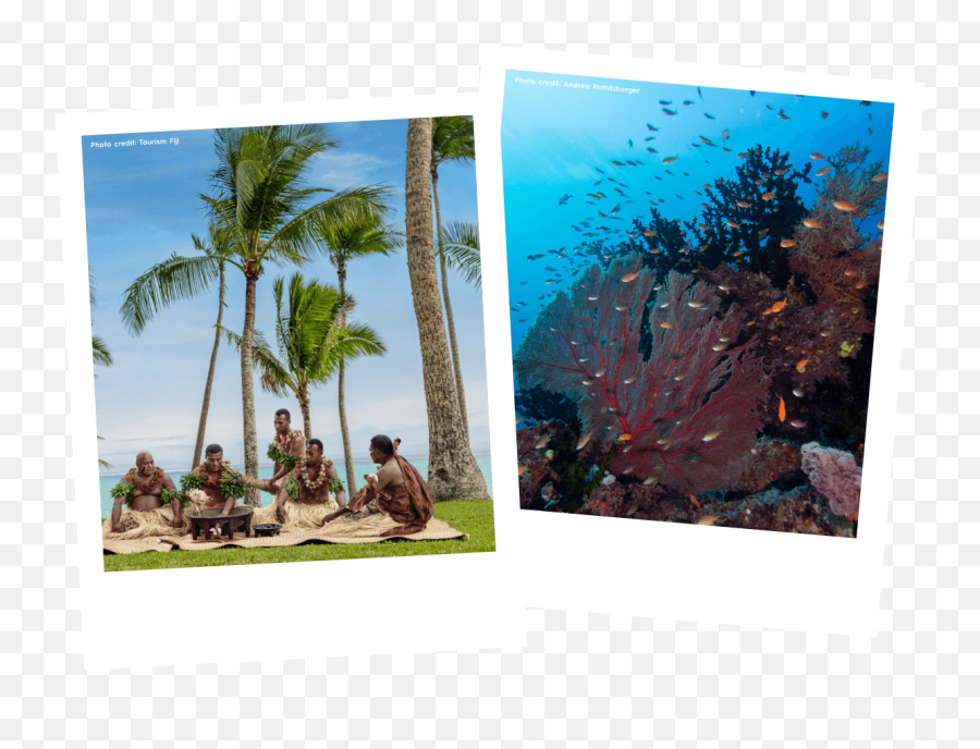 Win A Trip To Fiji - Experience A Getaway With Your Bestie Vacation Png,Fiji Water Png