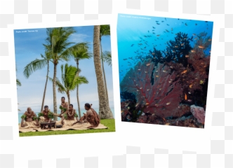 Win A Trip To Fiji - Experience A Getaway With Your Bestie Vacation Png,Fiji Water Png