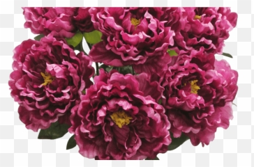 Silk Flowers Bushes - Full Size PNG Shrub