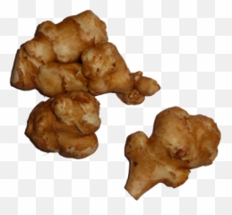 Ginger Png Images - Free Png Library Jerusalem Artichoke Png,Ginger Png