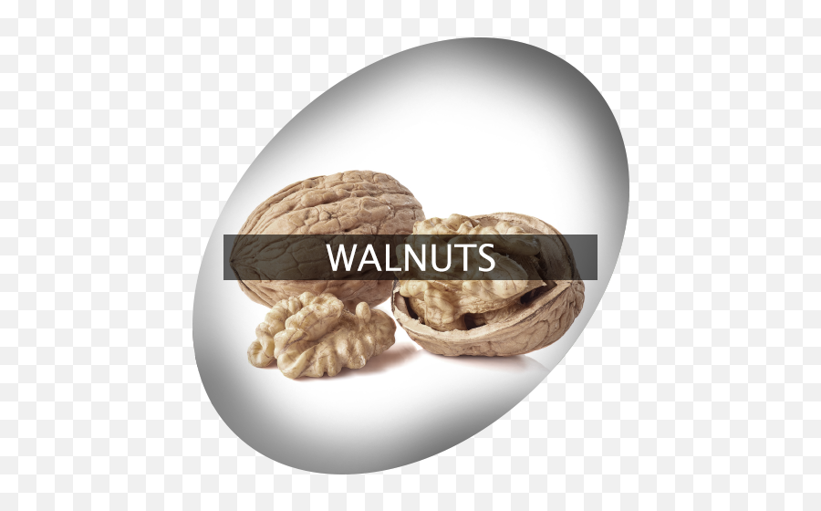 Download Landingimage Igrow Walnuts - Walnut Png Image With Walnut,Walnuts Png