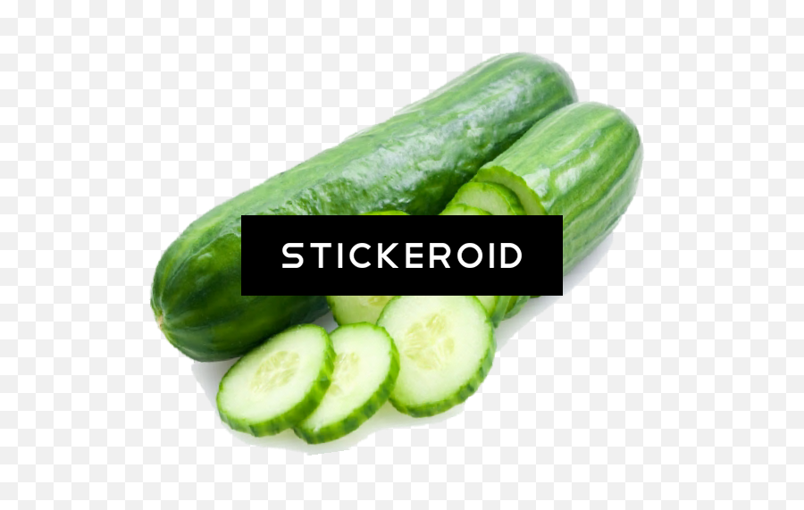 Cucumber Pic - Cucumber Full Size Png Download Seekpng Cucumber,Cucumber Png
