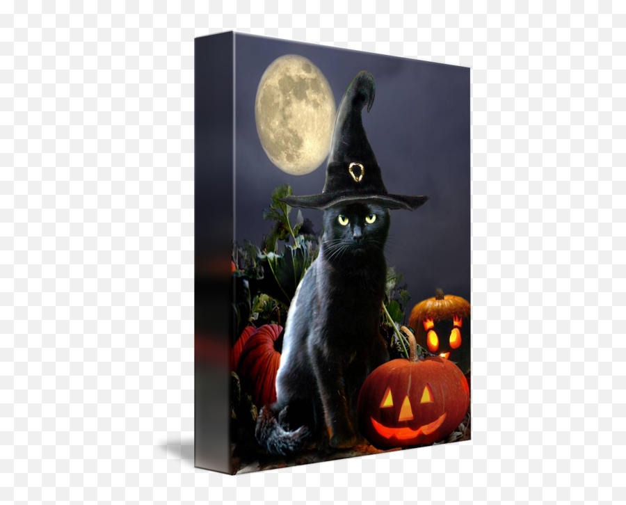 Black Halloween Cat With Witch Hat By Gina Femrite - Happy Halloween Black Cat Png,Halloween Cat Png