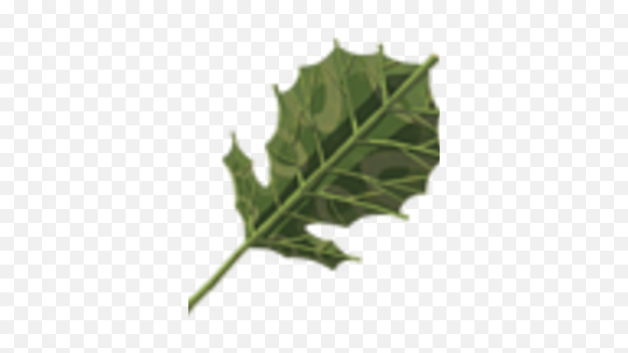 Korok Leaf Zeldapedia Fandom - Black Oak Png,Holly Leaves Png